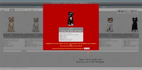 KittyCatS Online Cattery